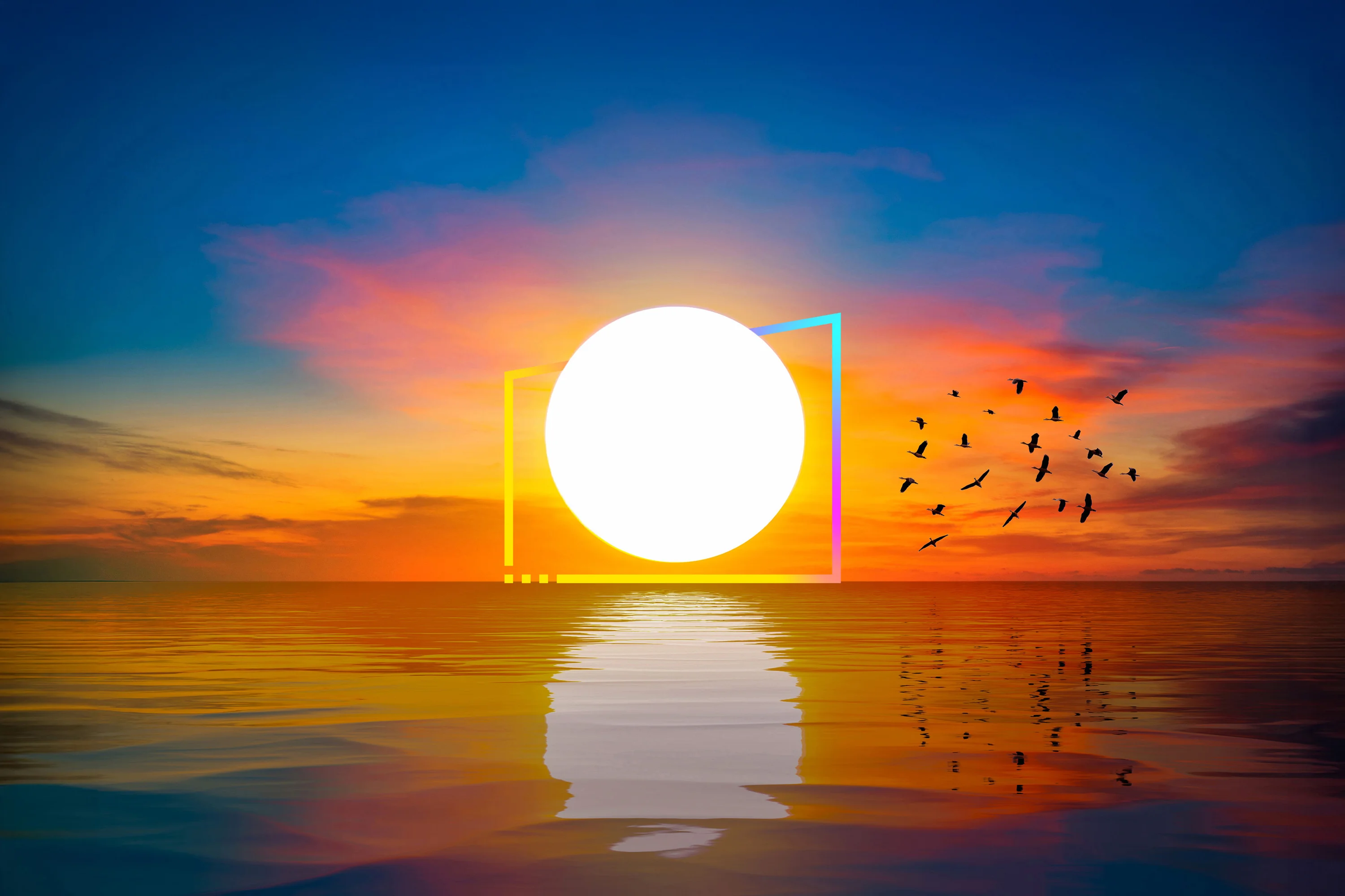 Web Portal Dashboard